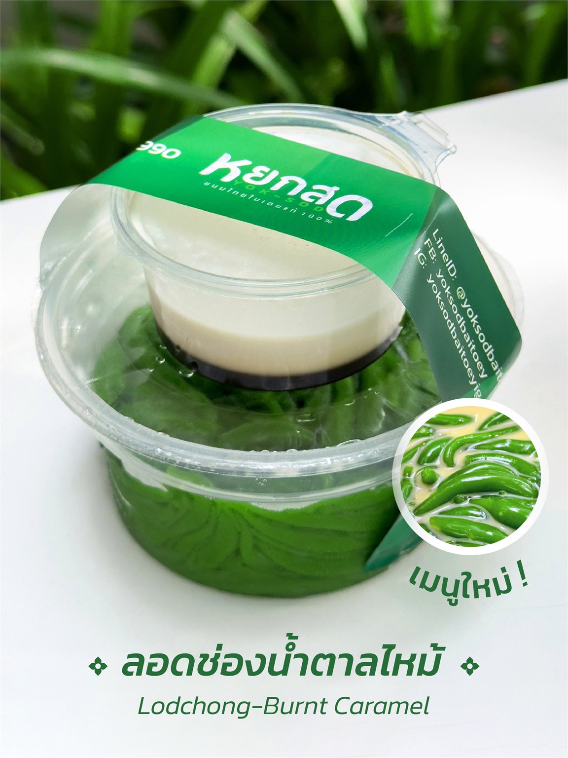 Lodchong Burnt Caramel (Lodchong Burnt Caramel) Thai-Desserts mit 100 % echtem Pandan Yoksod